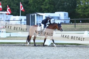 181894_mtp_05_R62_5494.JPG