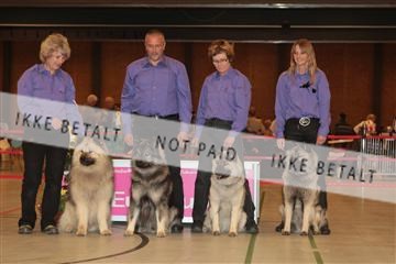 124188 _tl_02_IMG_9261.JPG