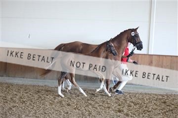 181756_mtp_03_R62_2457.JPG