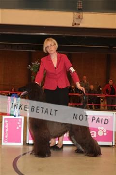 124188 _tl_02_IMG_9682.JPG