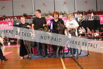 6068_ma_05_IMG_5428.JPG