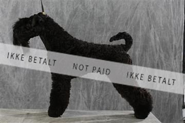 128239_le_kort_ 01_0334.JPG