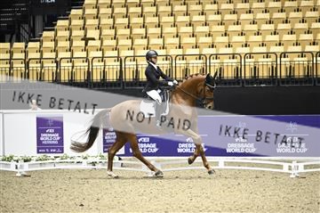182194_kbb_02_Z097972.JPG