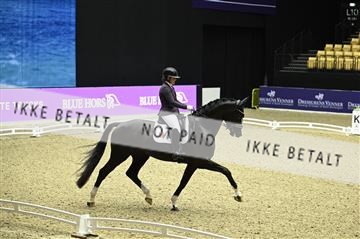 182194_kbb_01_Z095749.JPG