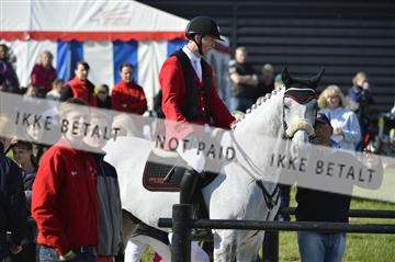 139644_abo_02__AB14555.JPG