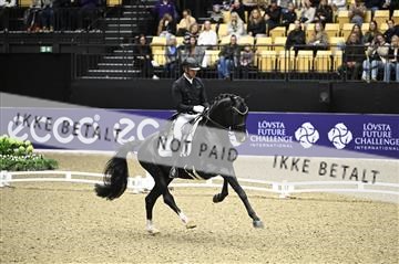 182194_kbb_02_Z098879.JPG