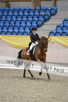 139403_ms_01__MS18590.JPG