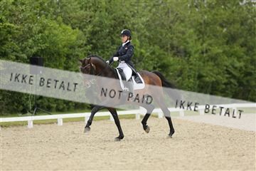 139835_sg_01_IMG_8181.JPG