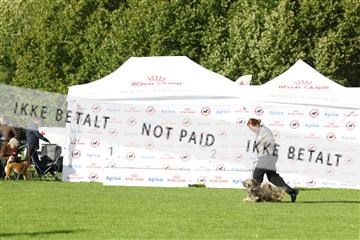 182009_kar_01__62_7182.JPG