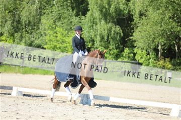 168732_mtp_01_3M5A6200.JPG