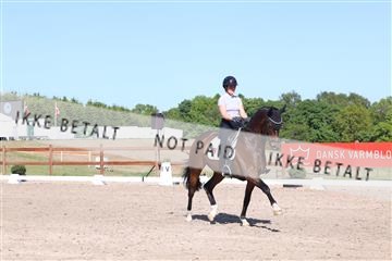 181449_bc_01R62_5989.JPG