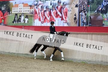 181887_mtp_05_R62_9819.JPG