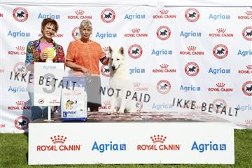 181564_kar_01__62_8189.JPG