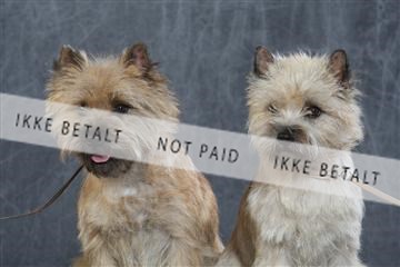 130054_le_ 03_0074.JPG