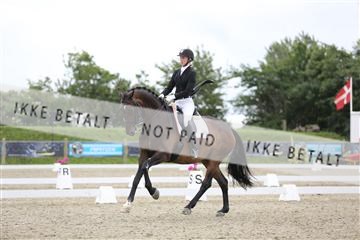 156196_nn_01_IMG_5322.JPG