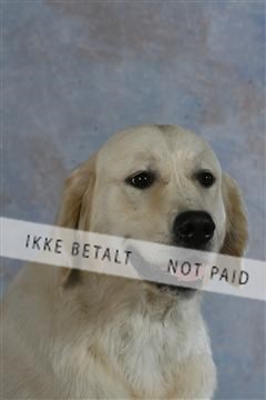 5493_sme _03__MG_9849.JPG