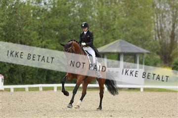 139835_sg_01_IMG_8292.JPG