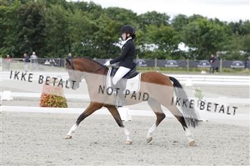 166078_rhj_01_166078_rhj_01__J7R1669.JPG