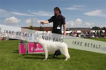 130370_se_03_IMG_7464.JPG