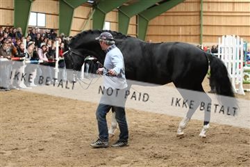 139265_kl_1_8M1Q6235.JPG
