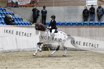 182241_kbb_01_Z093202.JPG