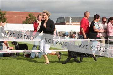 130370_tl_01_IMG_7515.JPG