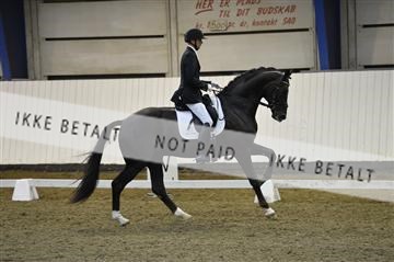 140040_abo_01__AB18136.JPG