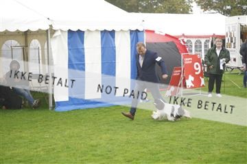 182009_kar_01__62_5727.JPG