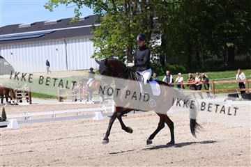 181449_bc_01R62_5543.JPG