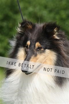 130370_se_02_IMG_5852.JPG