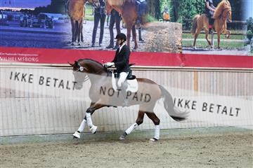181887_mtp_04_R62_8817.JPG