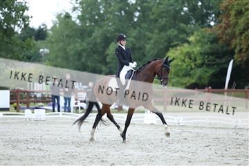 181923_mtp_01_R62_6631.JPG