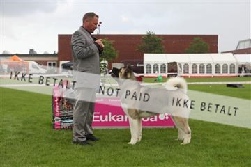 130370_le_02_IMG_8763.JPG