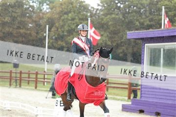 181923_mtp_04_R62_9087.JPG