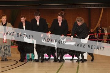 124188 _tl_02_IMG_9275.JPG