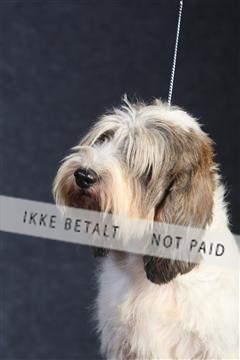 132082_le_ 01_IMG_0060.JPG