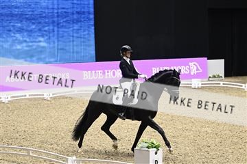 182194_kbb_03_Z091165.JPG