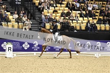 182194_kbb_03_Z090813.JPG