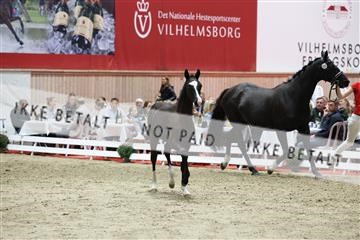 181957_mtp_08_R62_5654.JPG