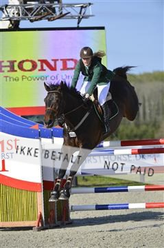 139644_abo_02__AB14702.JPG