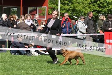 134871_ms_02_IMG_3633.JPG