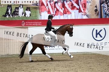 181957_avh_01_3823.JPG