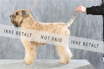 128239_le_kort_ 01_0336.JPG