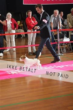 6068_ma_05_IMG_5991.JPG