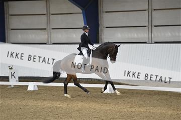 140040_abo_02__AB18443.JPG