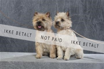 130054_le_ 03_0070.JPG