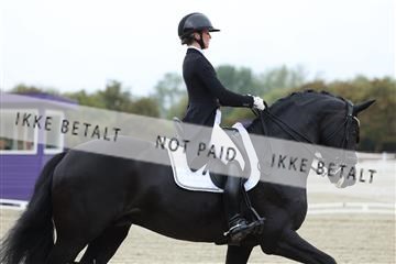 181923_mtp_03_R62_7666.JPG