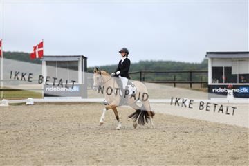 181894_mtp_04_R62_3677.JPG