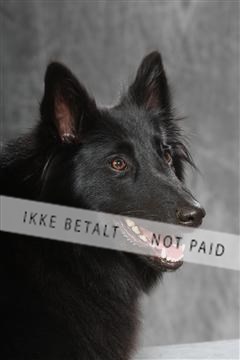 130054_le_ 01_0107.JPG