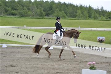 140040_abo_01__AB17432.JPG